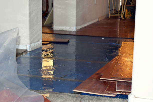 Professional Water Extraction technician working in Flora, IL